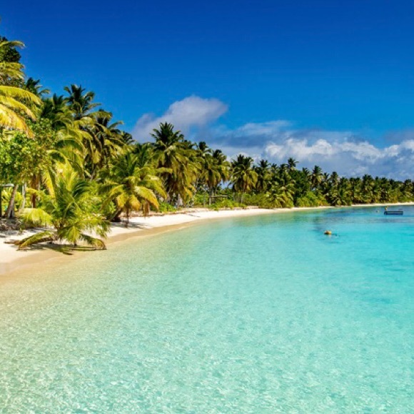 Meet your Posher! - Picture 1 of 1